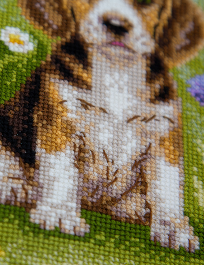 Kit de punto de cruz Aine A1048 – Meadow Pup, cachorro beagle, 20 × 20 cm
