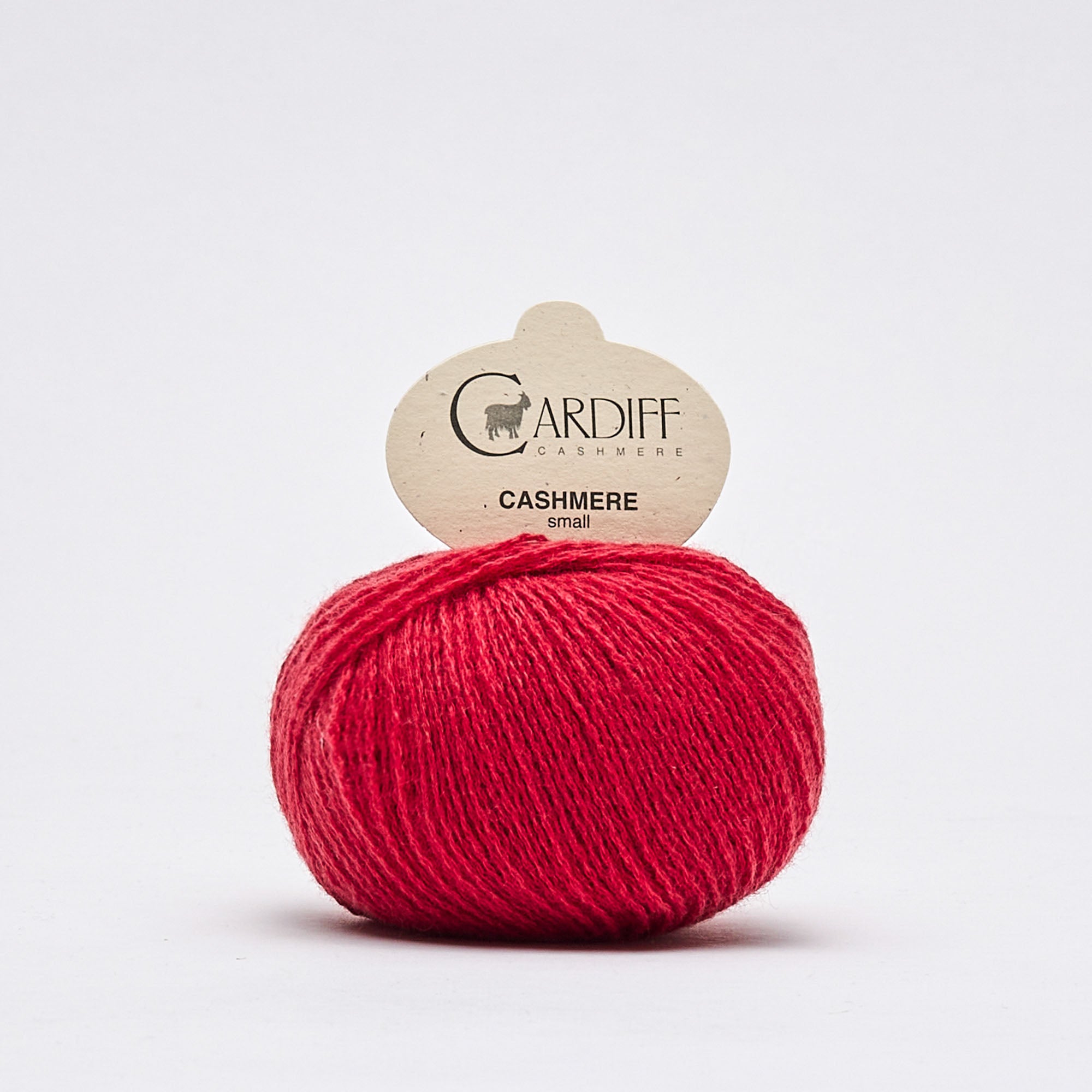 Cardiff Small Cashmere - Lana de Cachemira 100% Fina (25 g / 170 m)