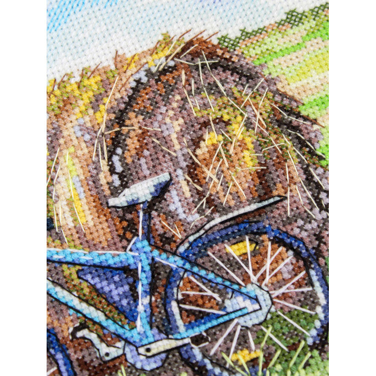 MP Studia SNV-1007 A Bicycle's Journey