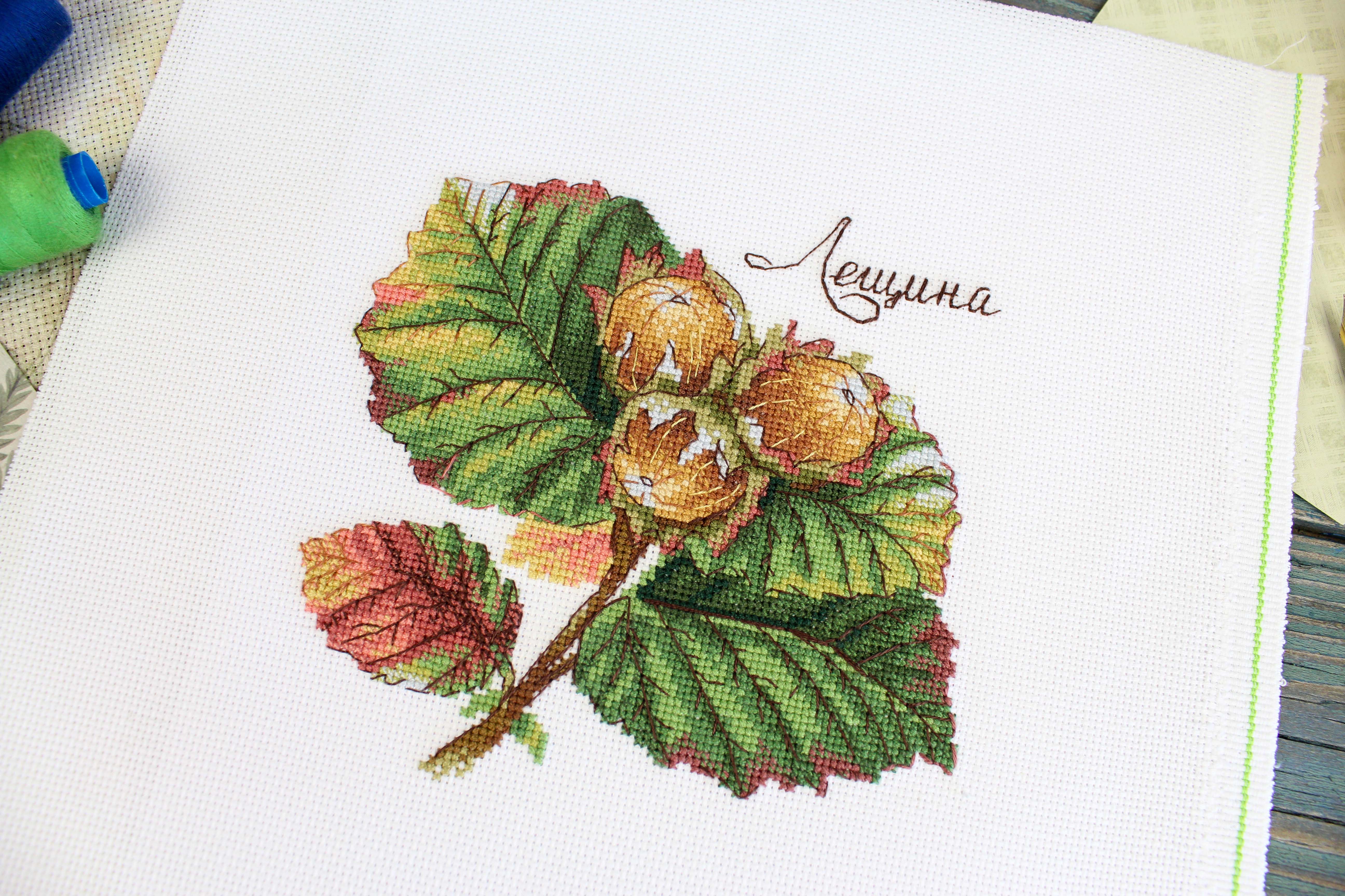 Kit de Punto de Cruz "Gifts of Nature.Hazel" MP Studia SNV-912
