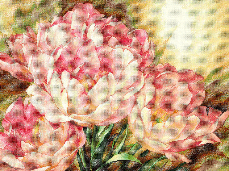 Tulip Trio - 35175 Dimensions - Kreuzstichset