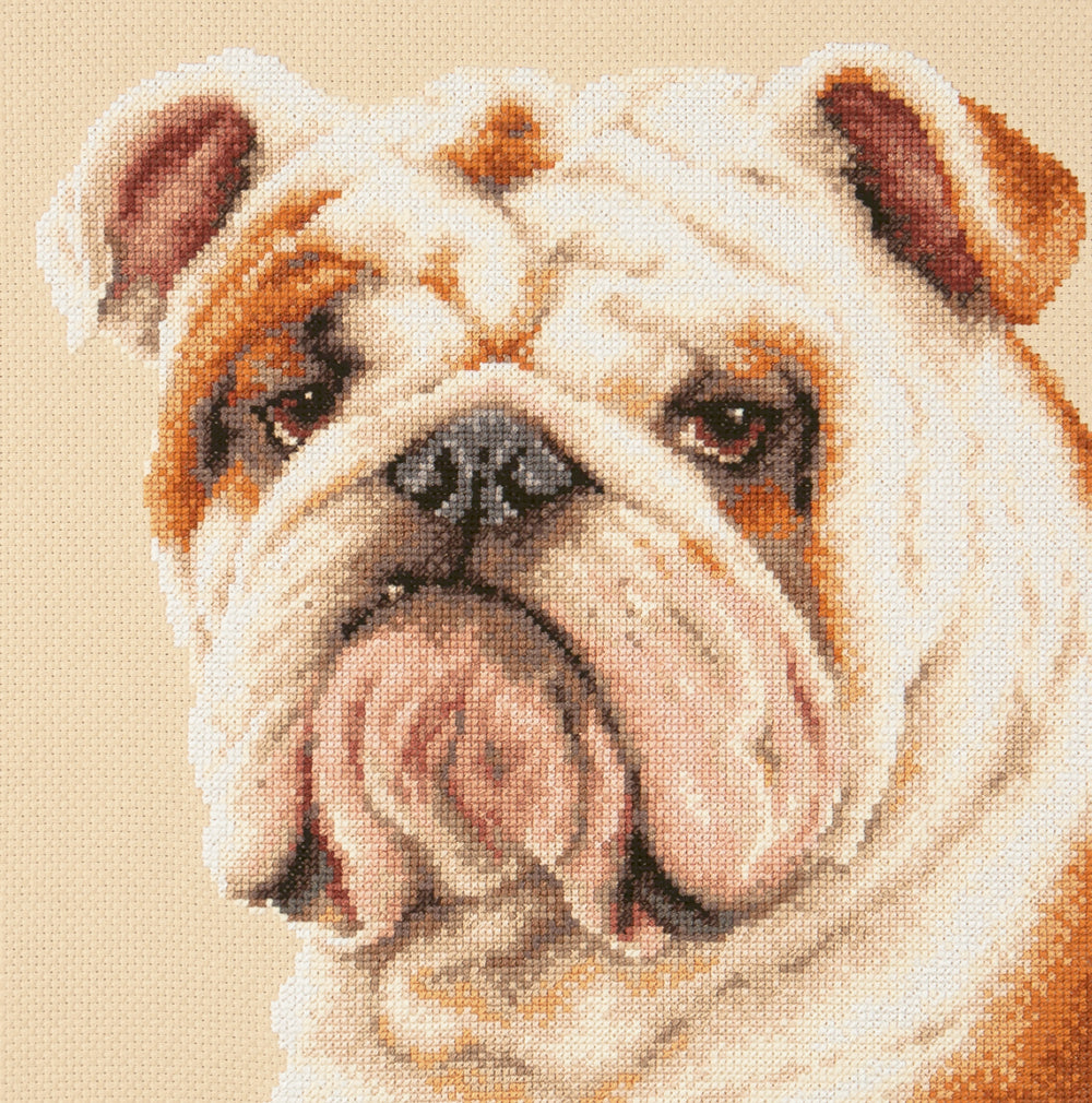 59-21 Bulldog. Kit de Punto de Cruz Magic Needle
