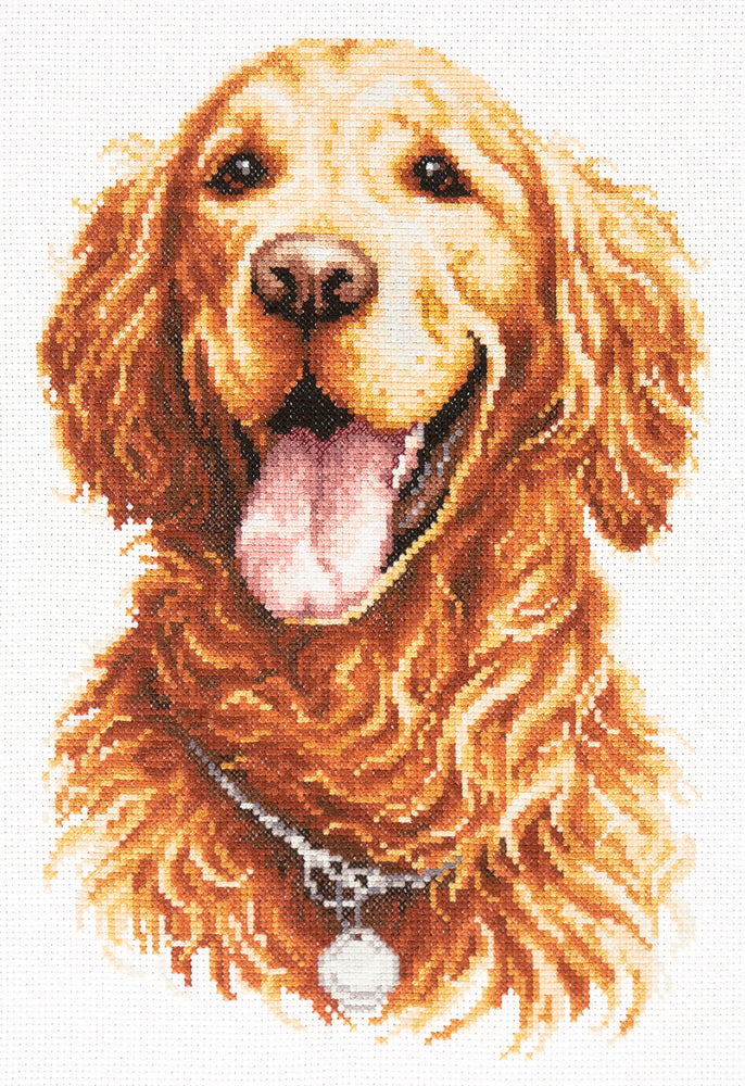 59-24 Golden Retriever. Magic Needle Kreuzstichset