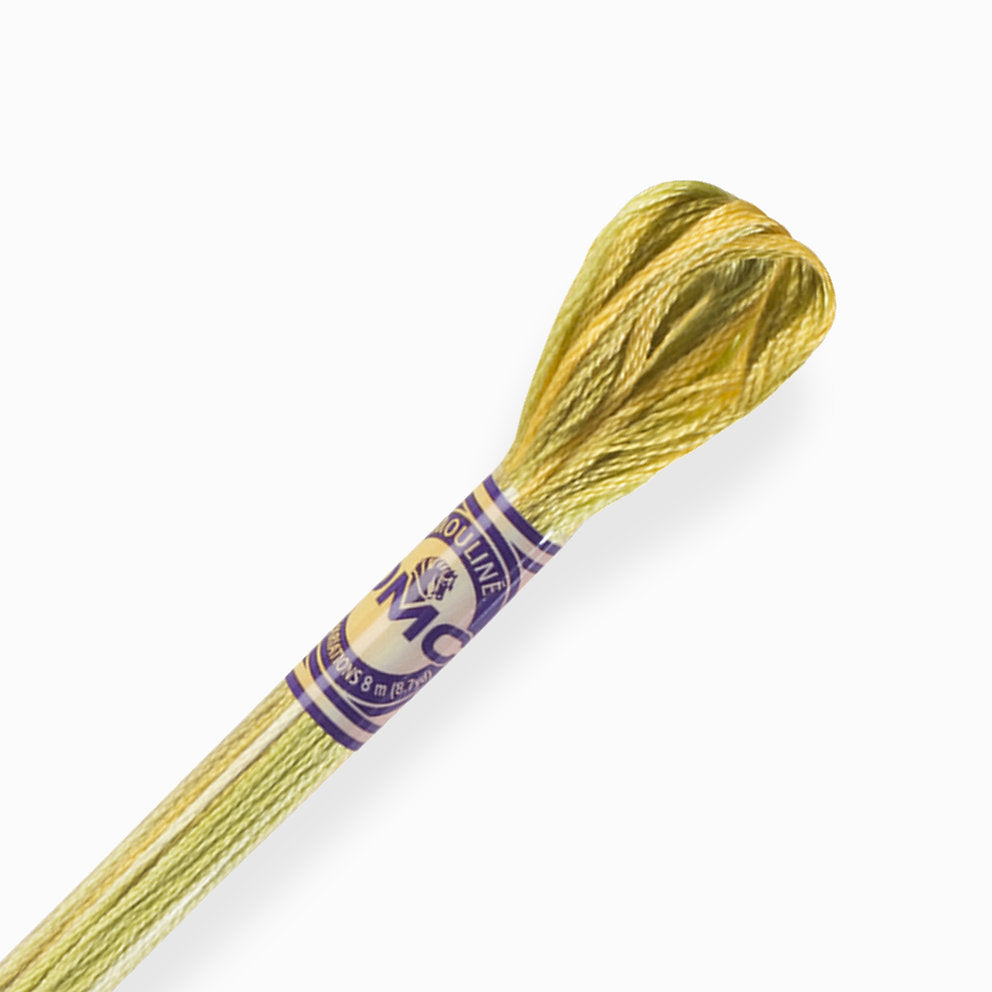 4070 DMC Mouliné-Farbvariationen-Garn zum Sticken
