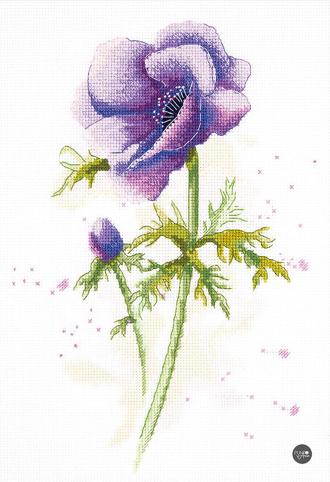 Anemone - C-1966 Panna - Kreuzstichset