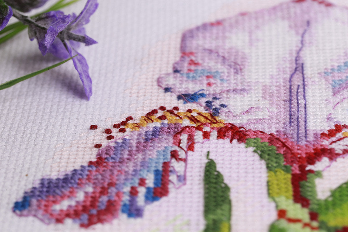 Iris de acuarela - C-7265 Panna - Kit de punto de cruz