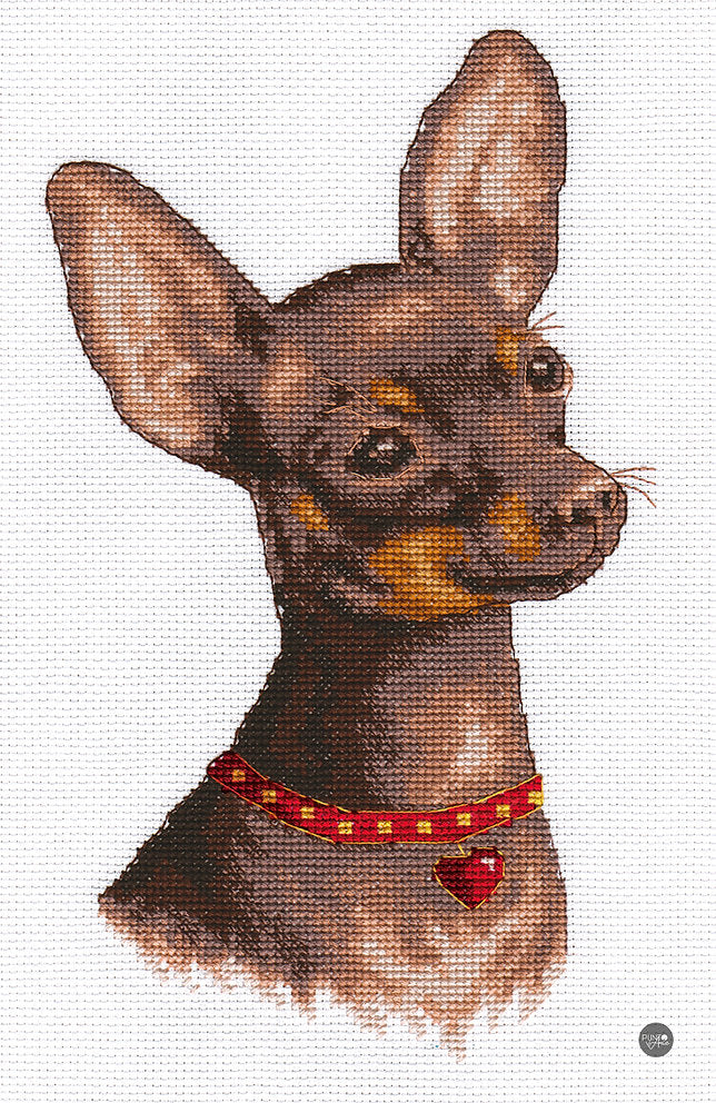 Toy Terrier - Panna - Kreuzstichset J-1485