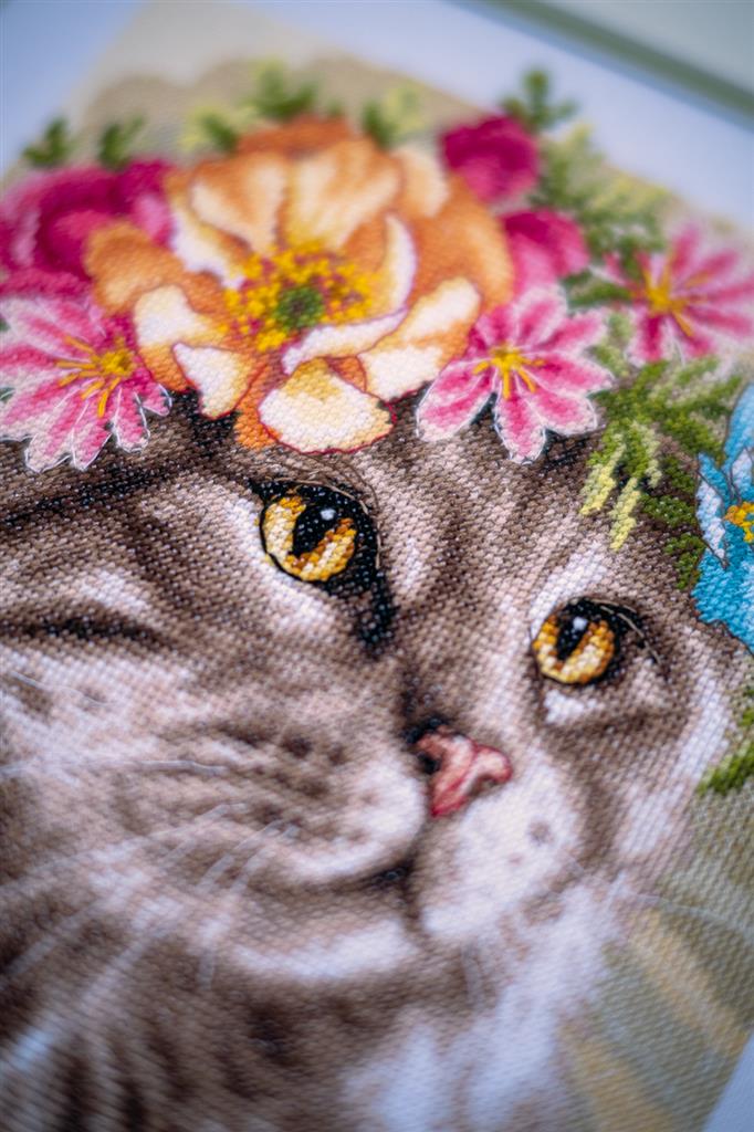 Kreuzstich-Set. Maine-Coon-Blumenkrone - Lanarte PN-0191867