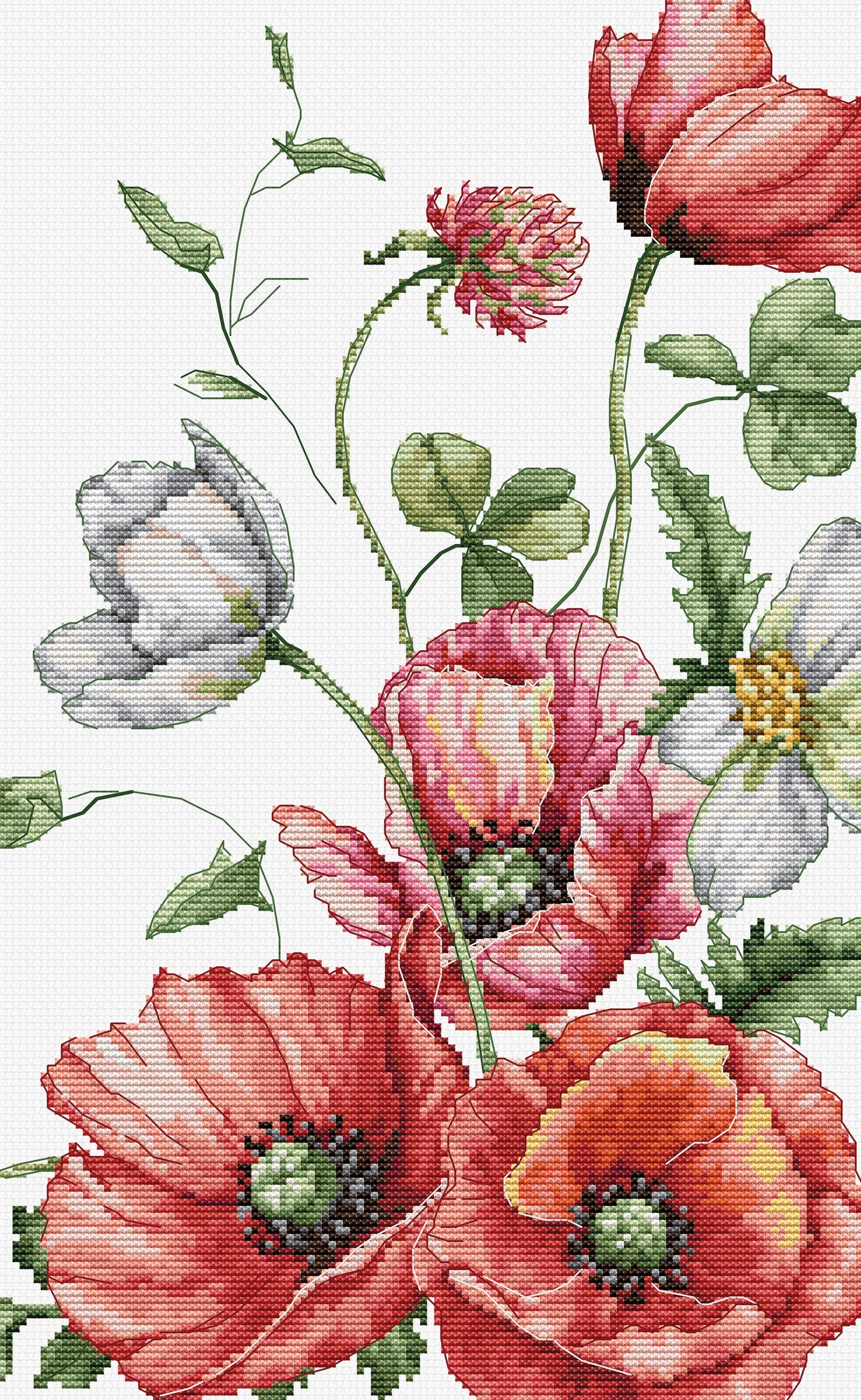 Cross Stitch Kit - The poppies of the field - B7020 Luca-S