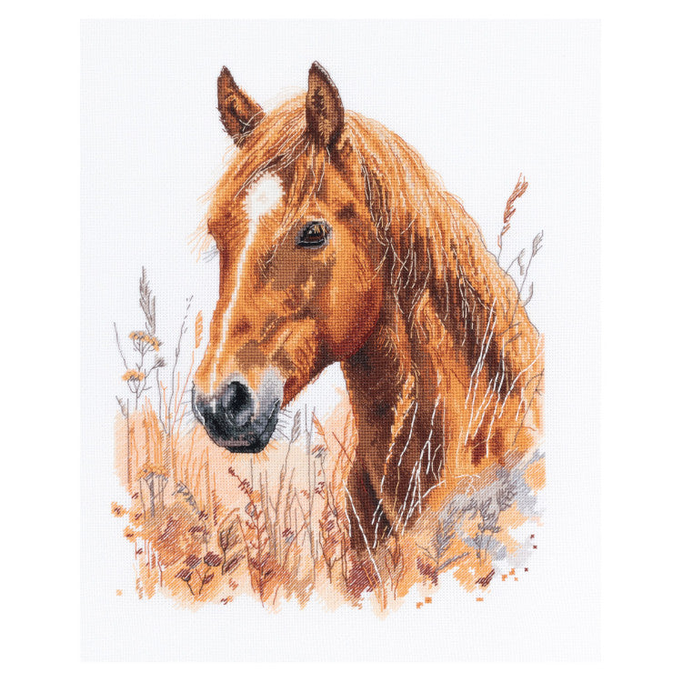 Kit de punto de cruz PANNA En la estepa entre las hierbas PJ-7528 con caballo castaño entre hierbas silvestres sobre tela Aida blanca