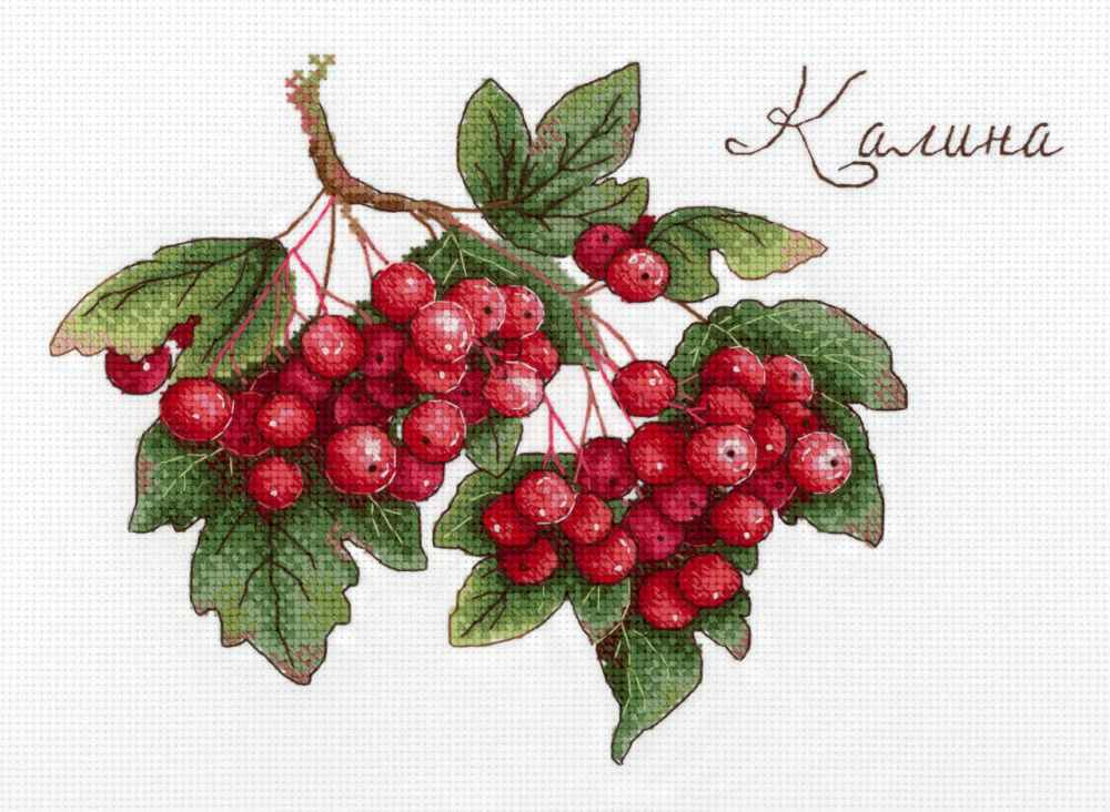 Geschenke der Natur. Viburnum - SNV-657 MP Studia - Kreuzstichset