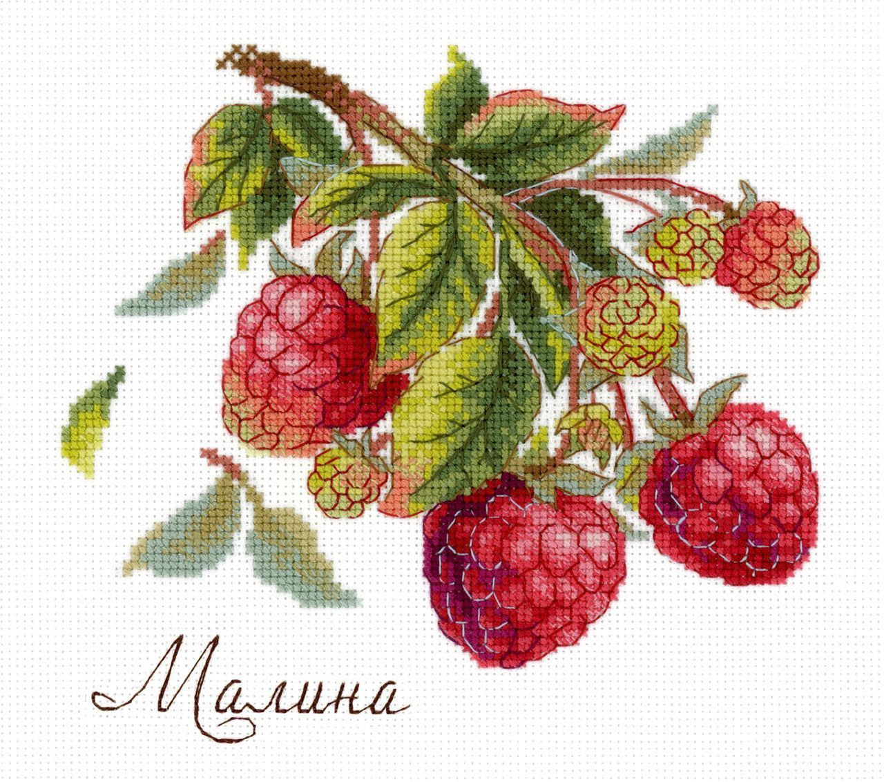 Geschenke der Natur. Himbeeren - SNV-816 MP Studia - Kreuzstichset