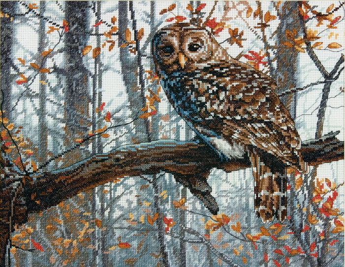 The gaze of the owl - 70-35311 Dimensions - Cross stitch kit
