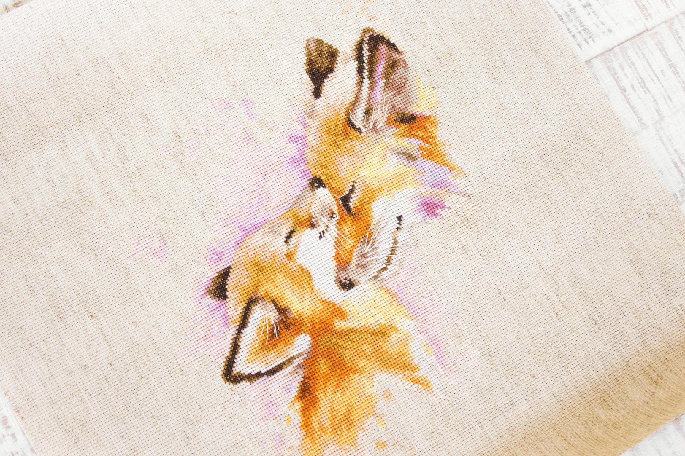 Cross Stitch Kit. Foxes - B2312 Luca-S