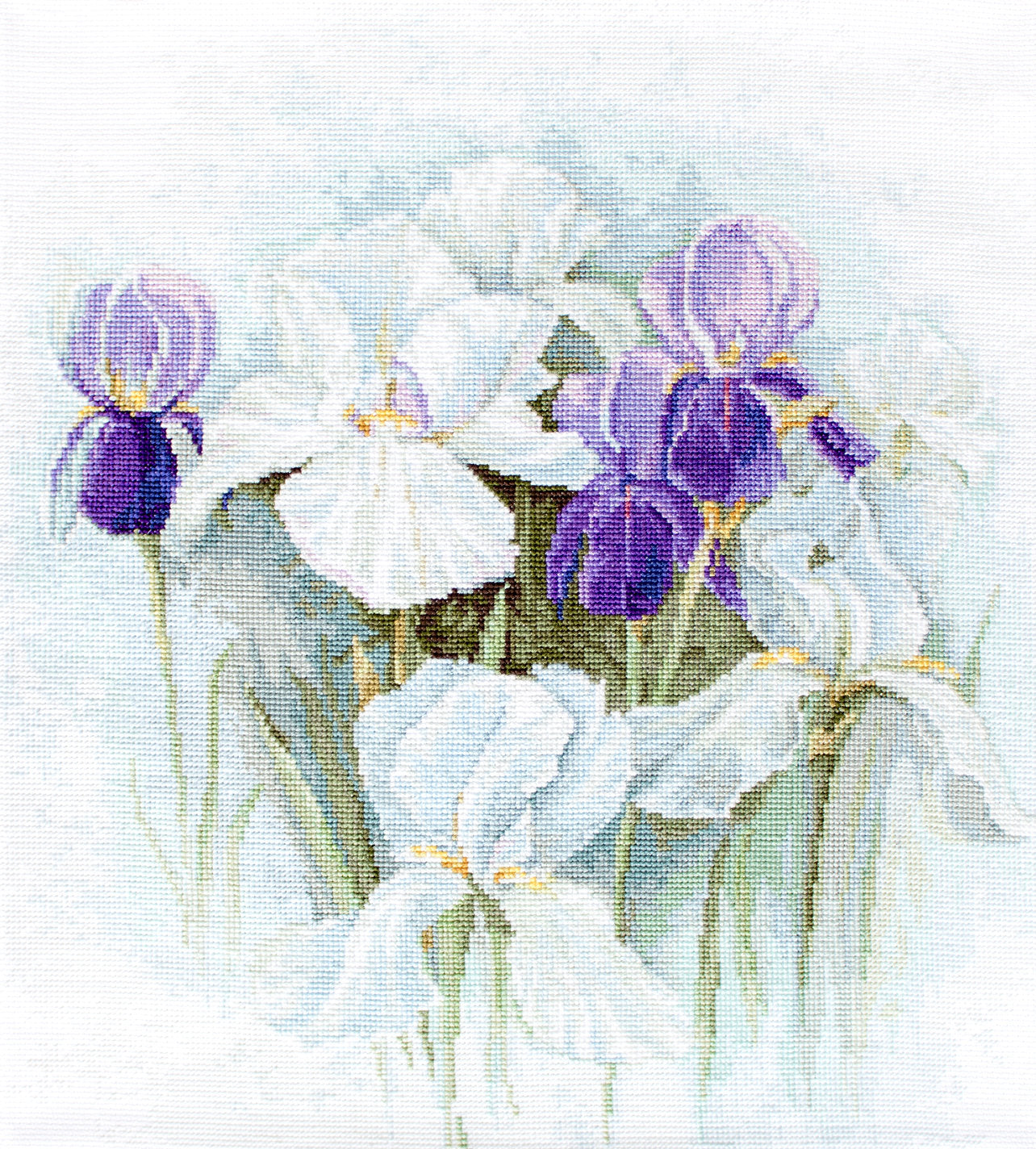 B2367 Irises - Luca-S - Cross Stitch Kit