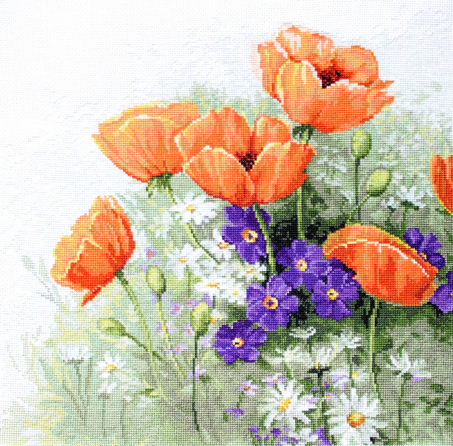 Cross Stitch Kit. Poppies - B2368 Luca-S