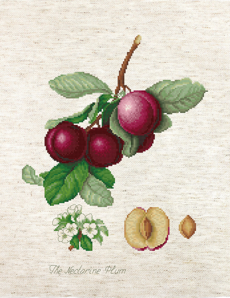 BA22480 The nectarine plum - Luca-S - Cross Stitch Kit