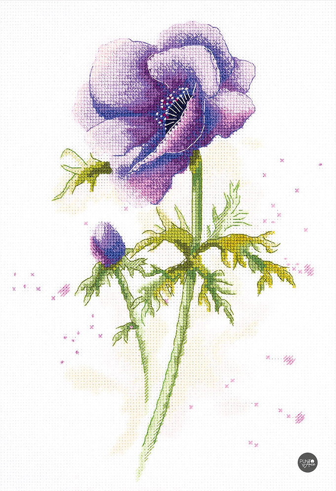 Anemone - C-1966 Panna - Cross stitch kit