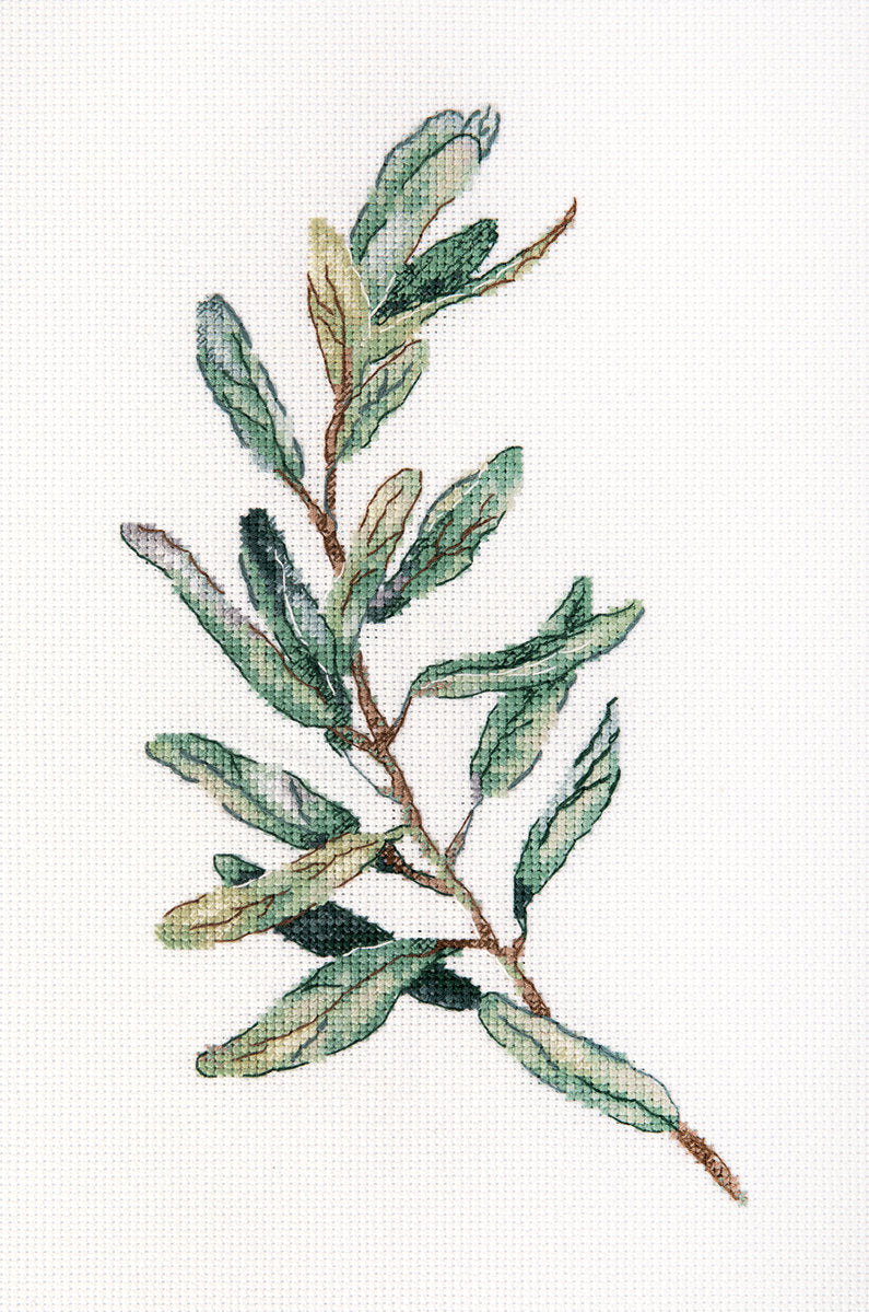 Olive Branch - C-7300 Panna - Cross Stitch Kit