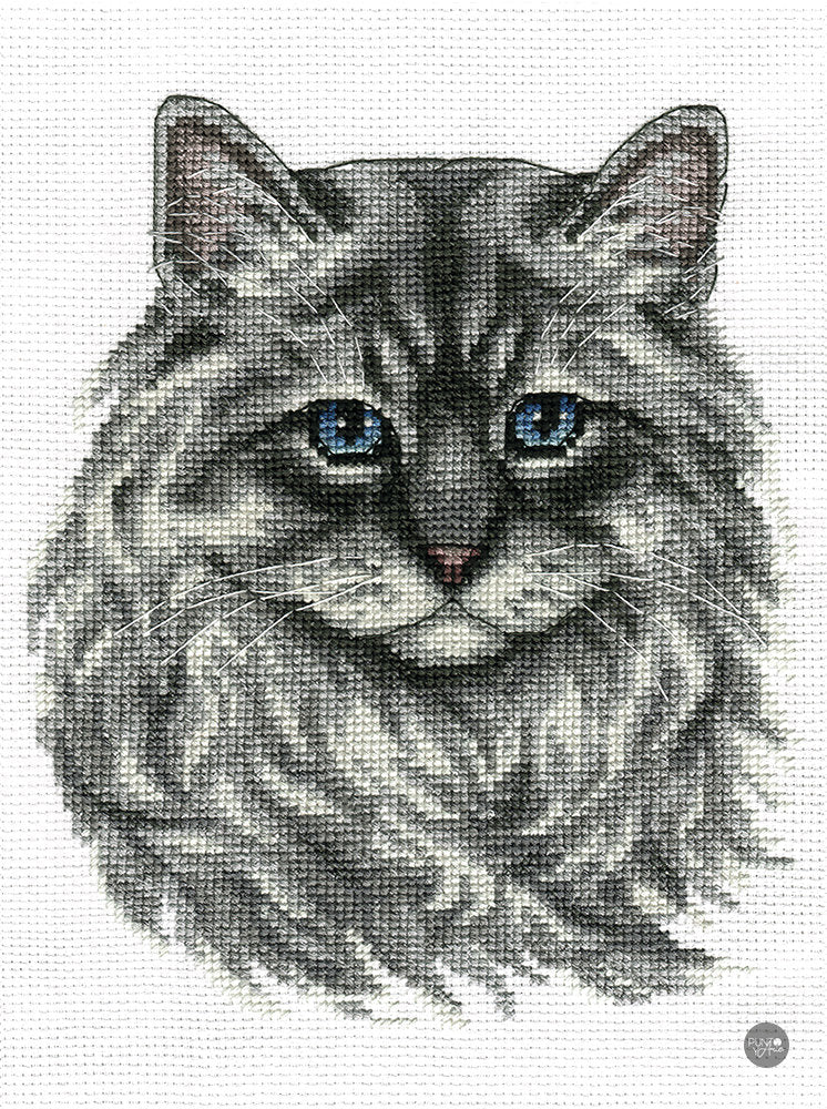 Neva Masquerade Cat - Panna - Cross Stitch Kit J-1816